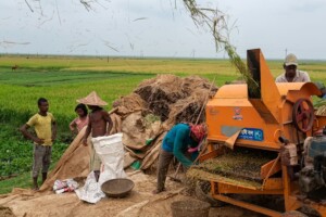 Government`s Paddy Procurement Rules Burden Farmers