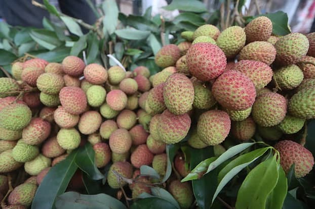 Infant Chokes to Death on Litchi Seed