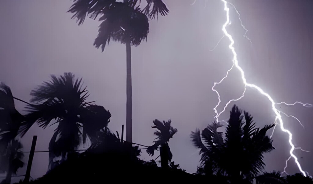Lightning Strikes Kill Three in Raninagar Lightning Strikes Kill Three in Raninagar