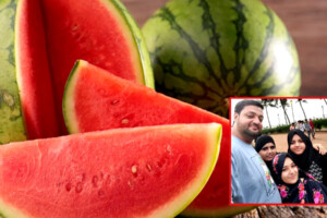 Mumbai Family Death Investigation Continues