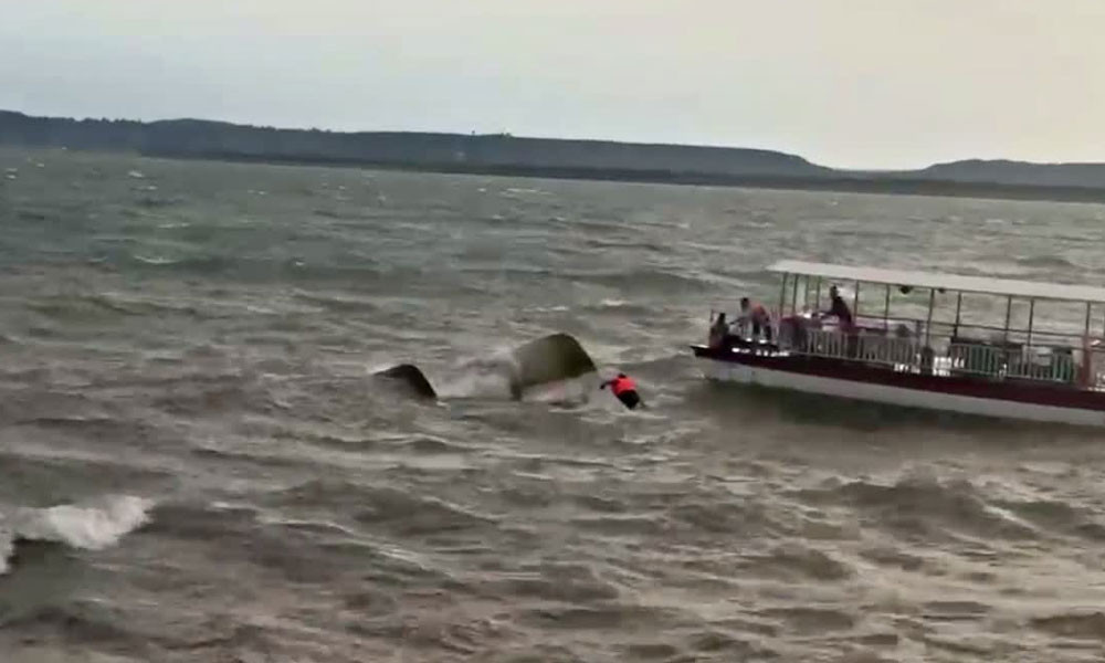 Narmada Boat Tragedy Claims Nine