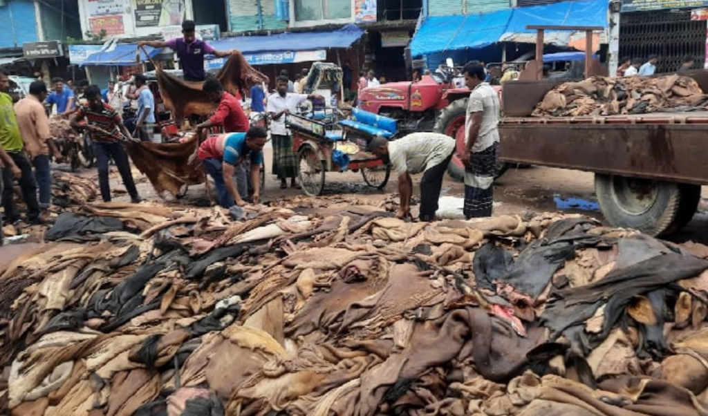 Severe Collapse Rehits Seasonal Raw Hide Market Globally Severe Collapse Rehits Seasonal Raw Hide Market Globally