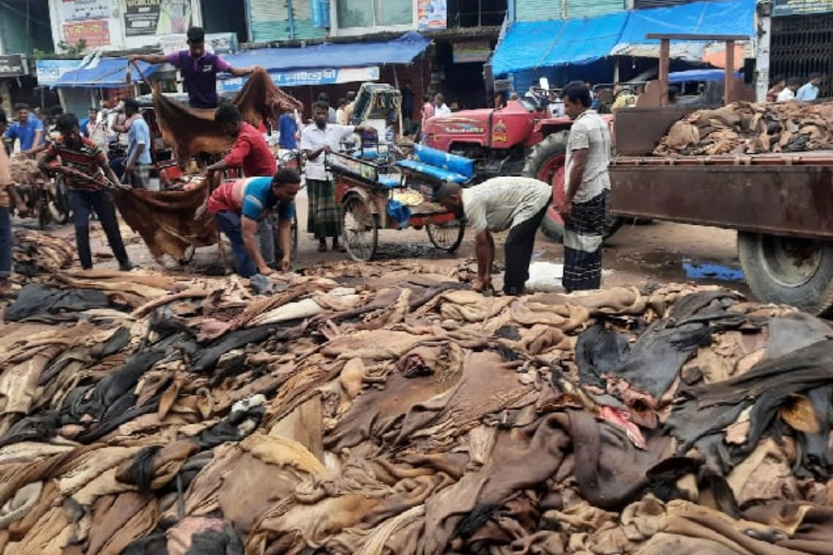 Severe Collapse Rehits Seasonal Raw Hide Market Globally