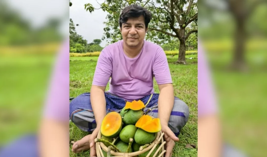 Tariq Rahman Resumes Seasonal Mango Trade Following General Election Tariq Rahman Resumes Seasonal Mango Trade Following General Election
