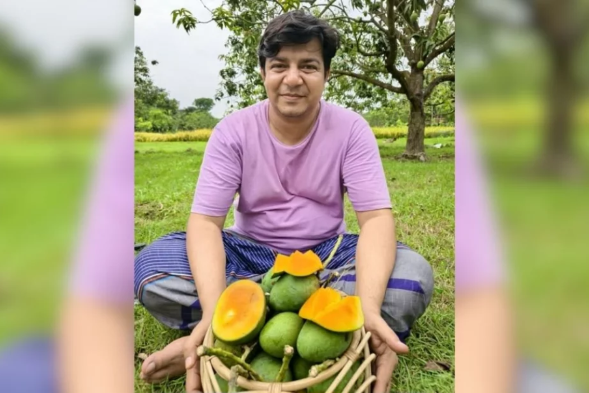 Tariq Rahman Resumes Seasonal Mango Trade Following General Election
