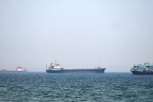 Trump’s Hormuz Shipping Plan: New Negotiation Tactic?