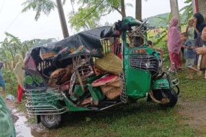Two Fatalities in Netrokona Bus and Auto-Rickshaw Collision