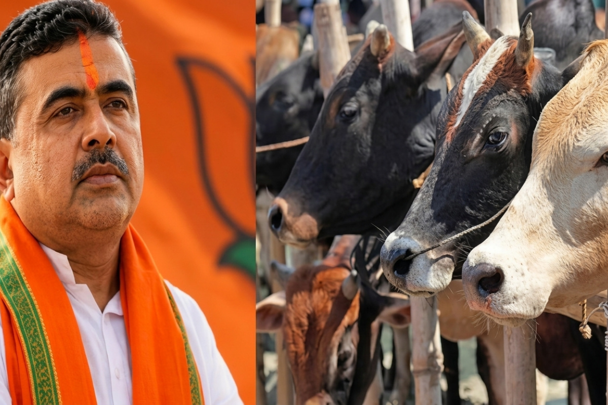 West Bengal Cattle Traders Face Severe Financial Crisis