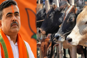 West Bengal Cattle Traders Face Severe Financial Crisis