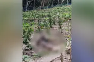 Youth Found Dead in Field