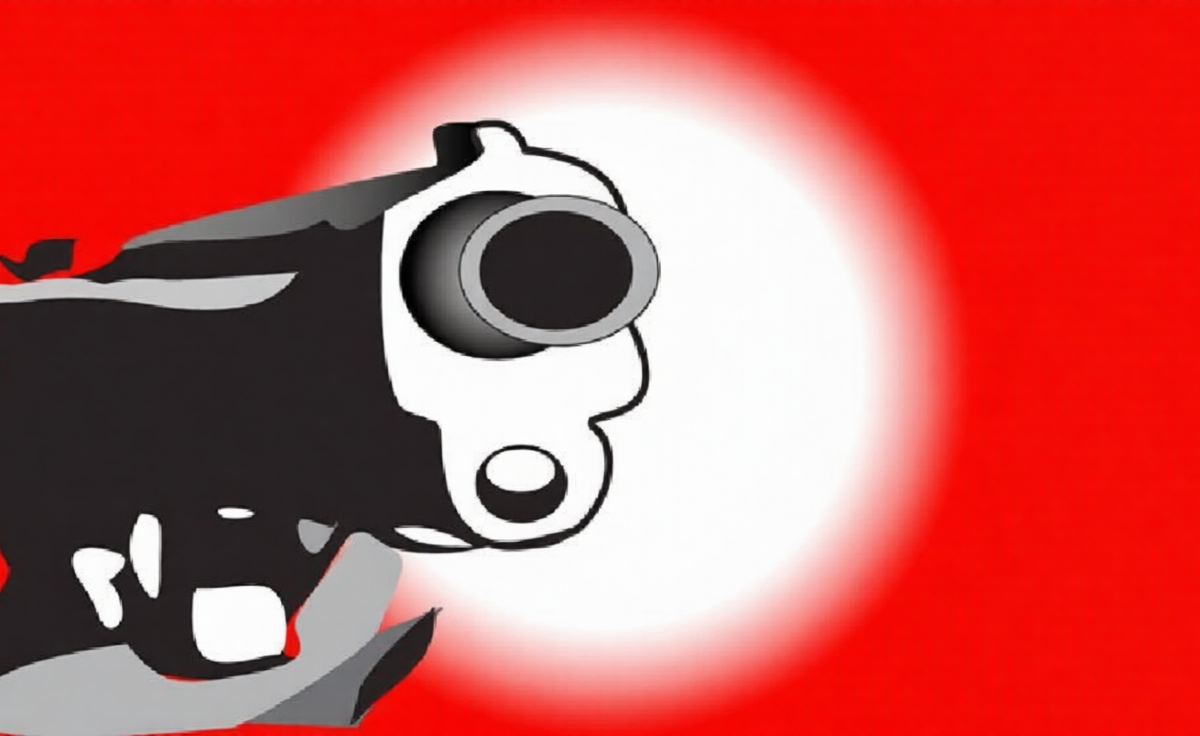 Armed Attack in Noakhali Village