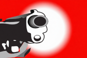 Armed Attack in Noakhali Village