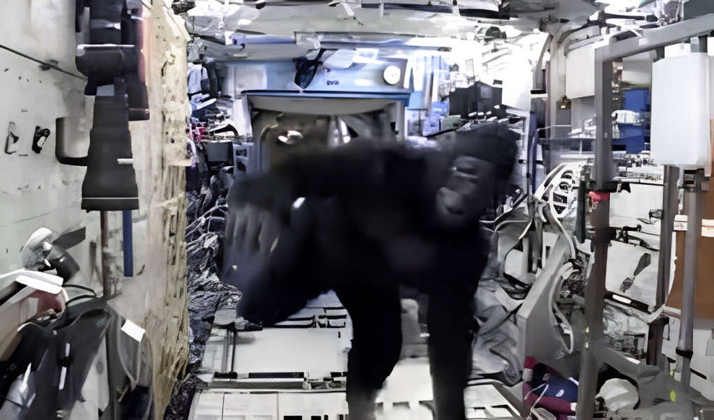 Astronaut Scott Kellys Gorilla Suit Space Escapade Astronaut Scott Kelly’s Gorilla Suit Space Escapade