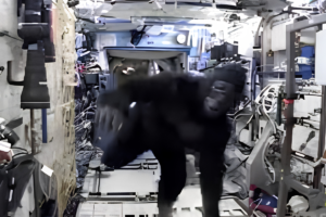Astronaut Scott Kelly’s Gorilla Suit Space Escapade