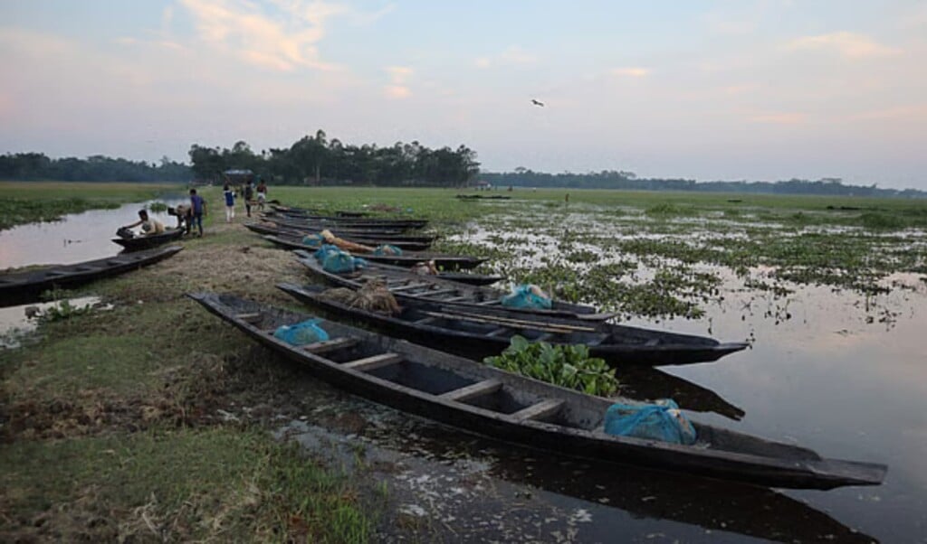 Daily Evening Haor Fish Market Services Local Trade