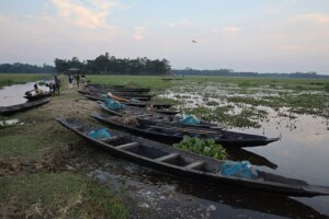 Daily Evening Haor Fish Market Services Local Trade