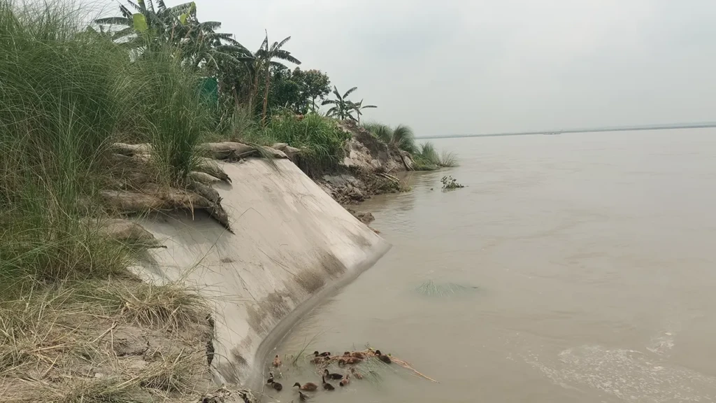 Early Monsoon Erosion Ravages Jamuna Banks Early Monsoon Erosion Ravages Jamuna Banks