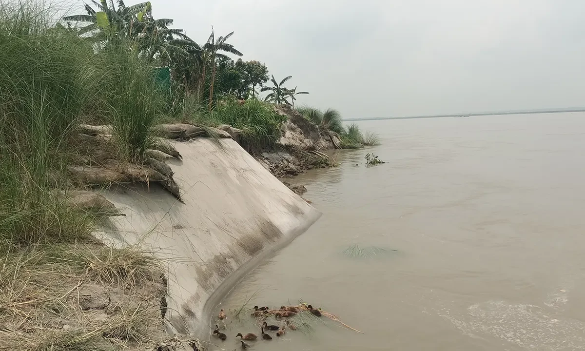 Early Monsoon Erosion Ravages Jamuna Banks