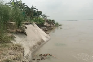 Early Monsoon Erosion Ravages Jamuna Banks