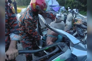 Five Killed in Expressway Collision