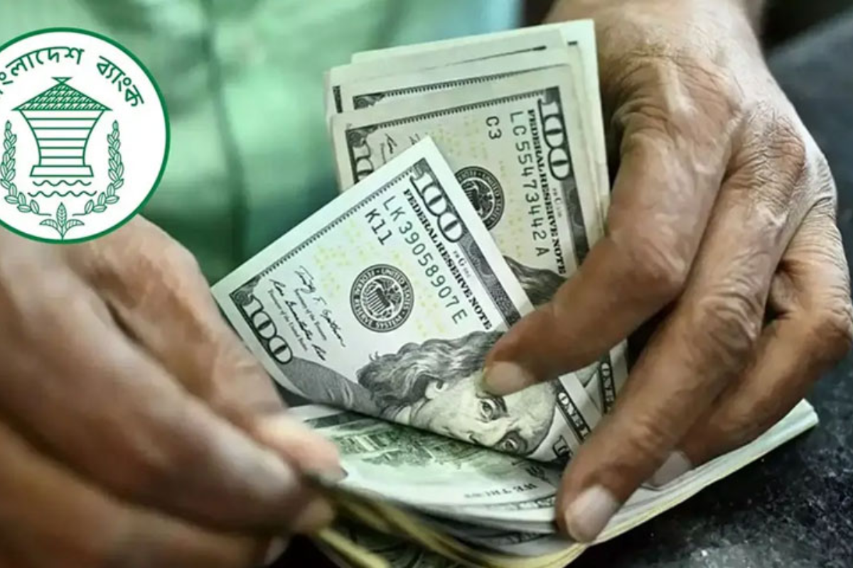 Foreign Currency Reserves Reach Historic Forty-Three Month High