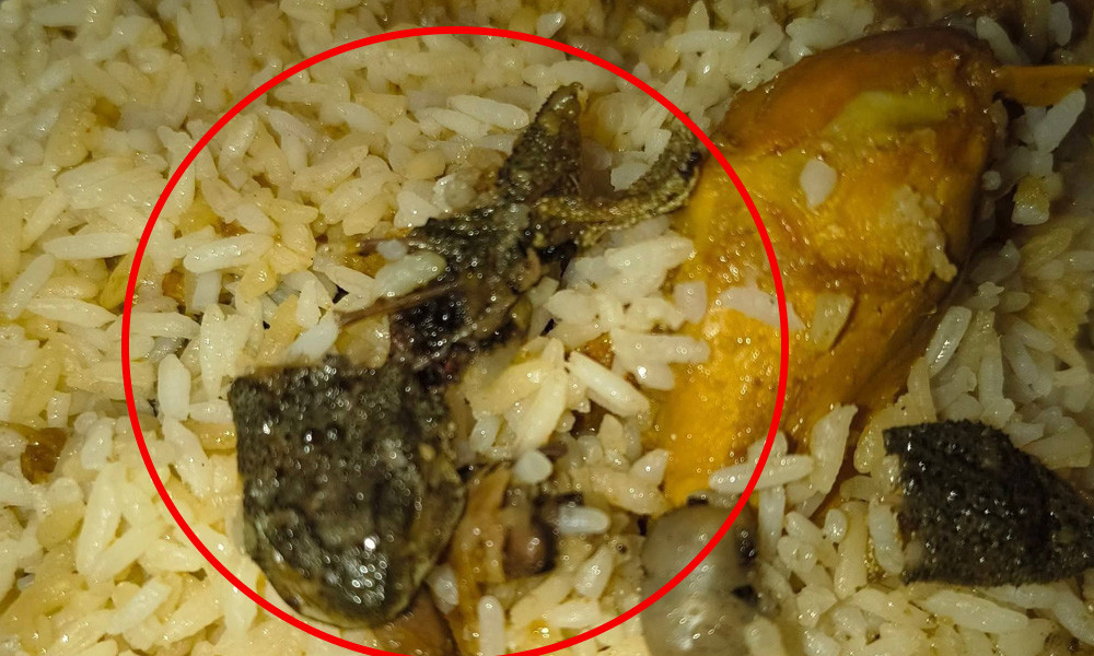 Frog Found in Pilaf Meal