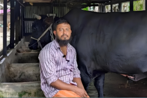 Man Who Offered Cow to Khaleda Zia Arrested