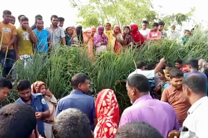 Missing Housewife Found Dead with Burn Injuries in Thakurgaon
