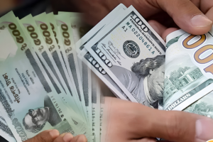 Most Major Currencies Depreciate Against Bangladeshi Taka