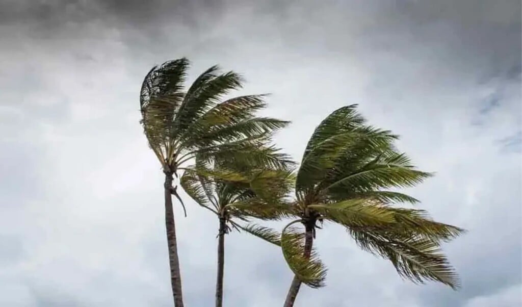 Twelve Regions Alerted for Storms and Riverport Danger