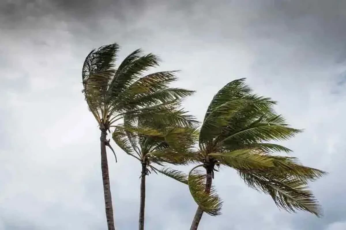 Twelve Regions Alerted for Storms and Riverport Danger