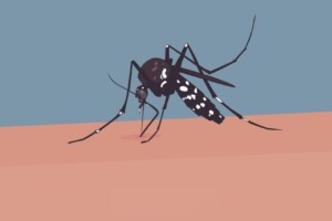 Two Dead as Bangladesh Grapples with Rising Dengue Cases