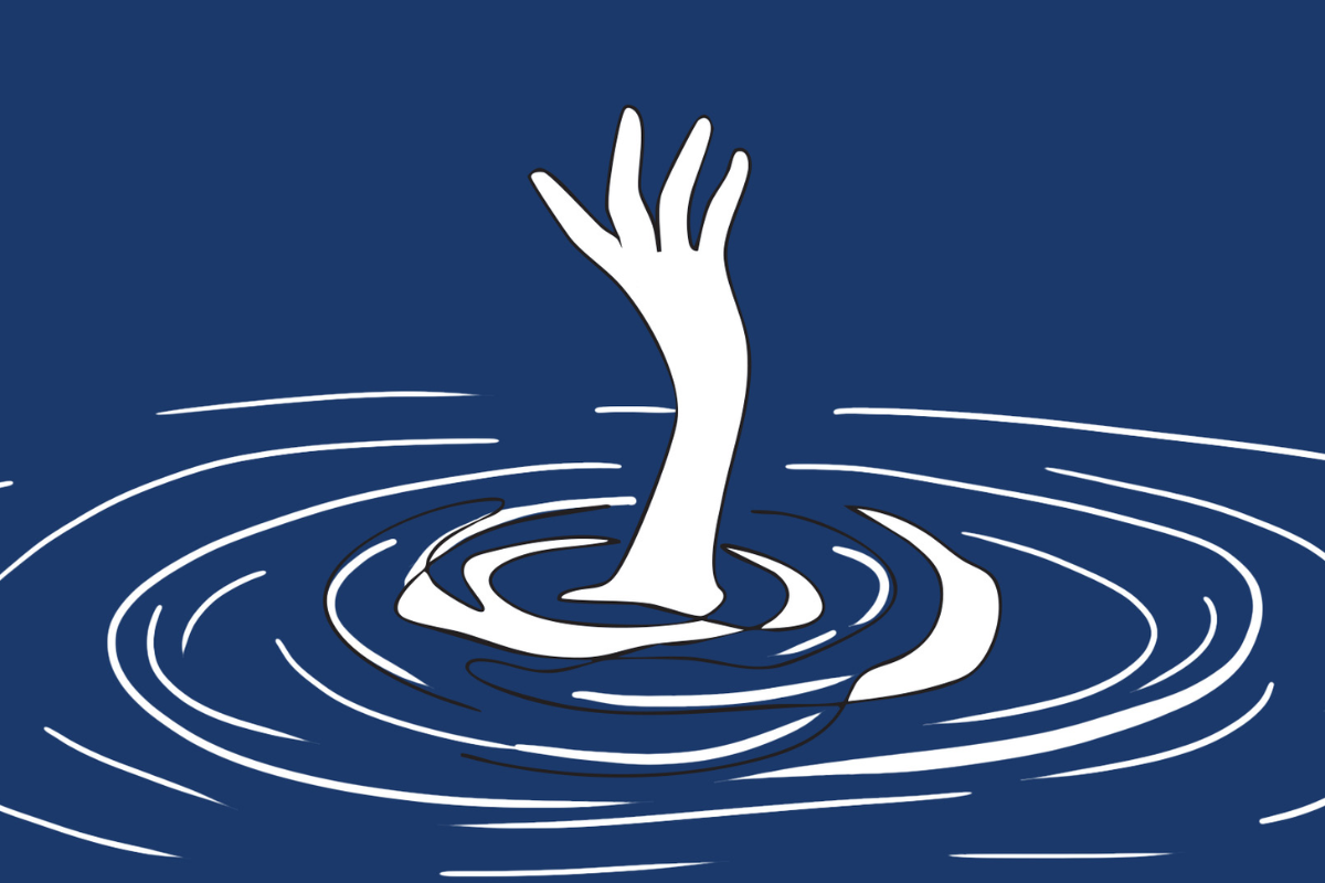 Two Young Brothers Drown In Mathbaria Pond