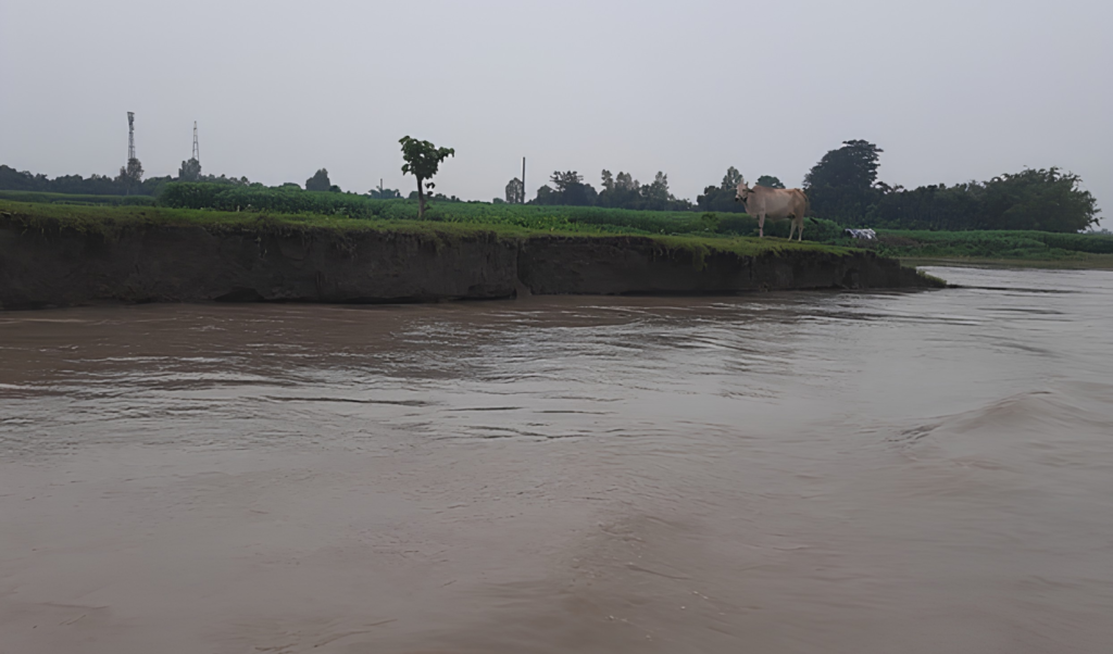 Water Levels Rise in Kurigram Rivers No Flood Risk Water Levels Rise in Kurigram Rivers; No Flood Risk