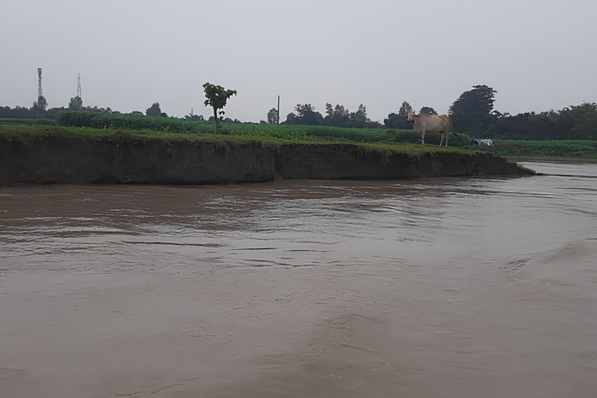 Water Levels Rise in Kurigram Rivers; No Flood Risk