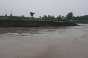 Water Levels Rise in Kurigram Rivers; No Flood Risk