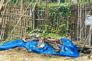 Woman’s Body Exhumed in Kustia