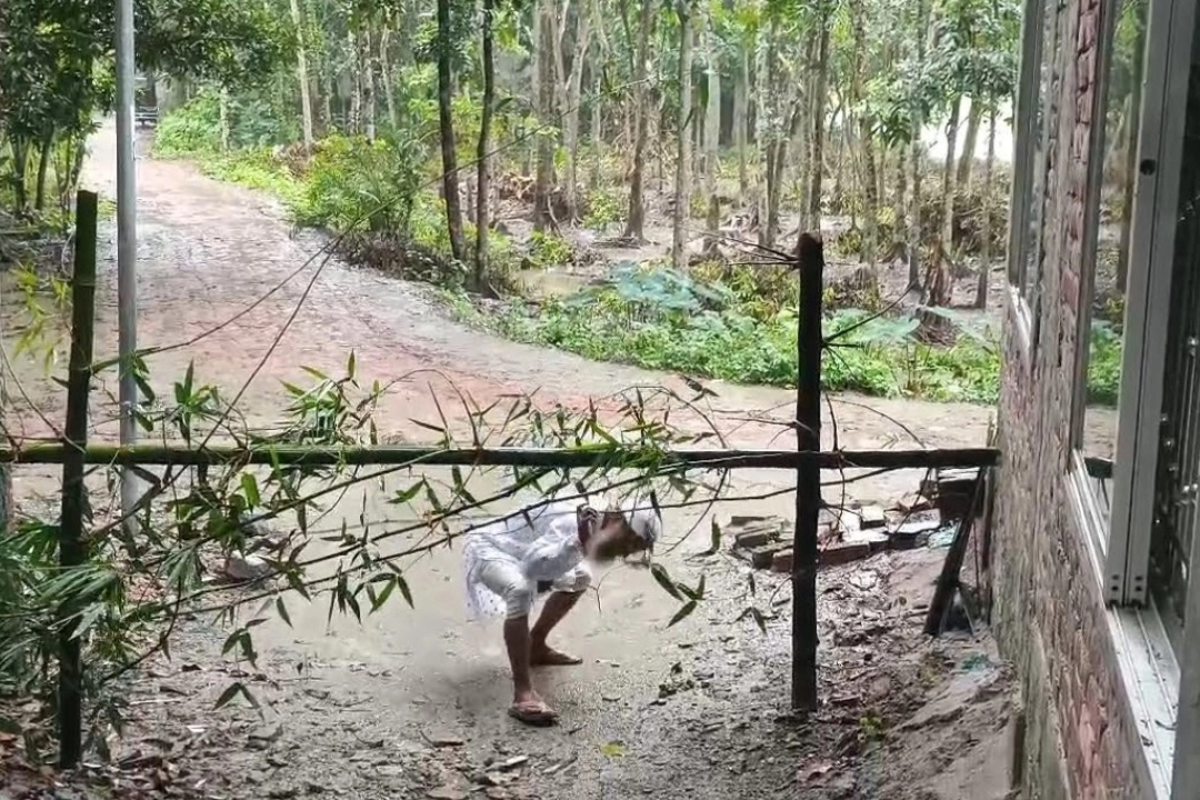 Bamboo Fence Blocks Mosque Entrance in Chandpur Land Dispute