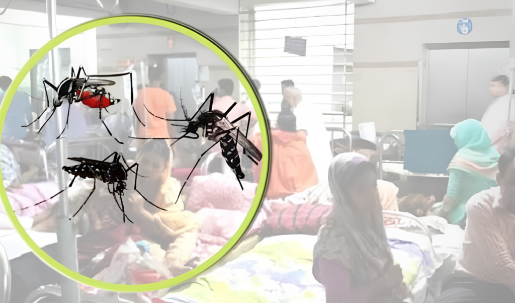 Bangladesh Dengue Caseload Surpasses 7000 as Infections Surge Bangladesh Dengue Caseload Surpasses 7,000 as Infections Surge