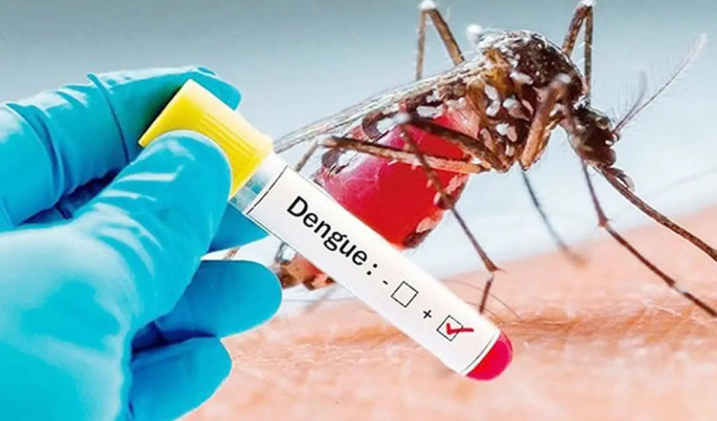 Bangladesh Dengue Toll Rises as 450 New Admissions Reported Bangladesh Dengue Toll Rises as 450 New Admissions Reported