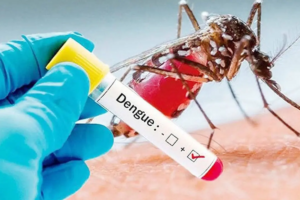Bangladesh Dengue Toll Rises as 450 New Admissions Reported