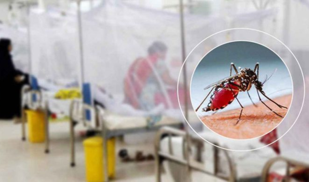 Bangladesh Records One Dengue Fatality Alongside 338 New Hospitalisations Bangladesh Records One Dengue Fatality Alongside 338 New Hospitalisations