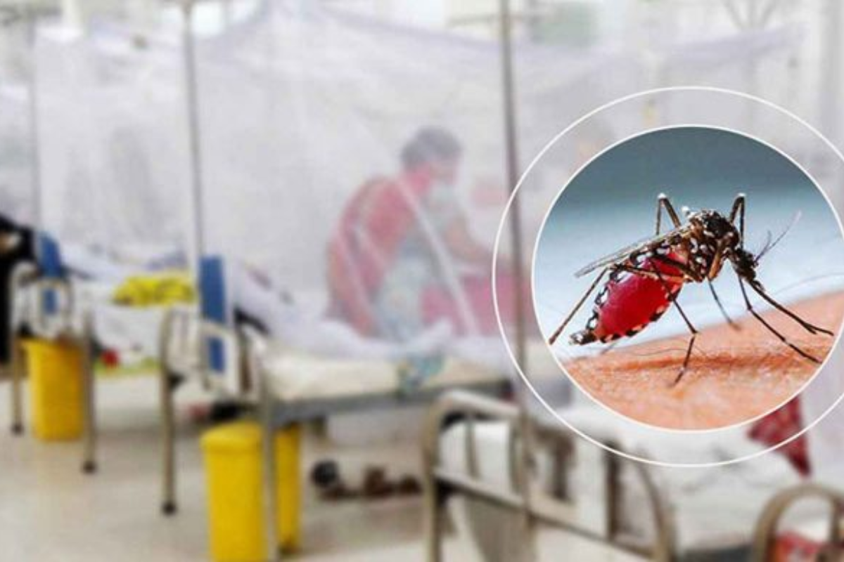 Bangladesh Records One Dengue Fatality Alongside 338 New Hospitalisations