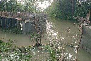 Barishal Bridge Collapses Mid-Casting Prompting Quality Investigation