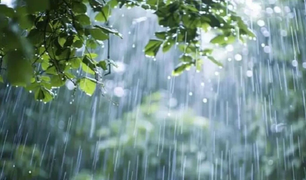 Deep Depression in Bay of Bengal Triggers Nationwide Five-Day Rainfall