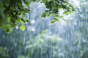 Deep Depression in Bay of Bengal Triggers Nationwide Five-Day Rainfall