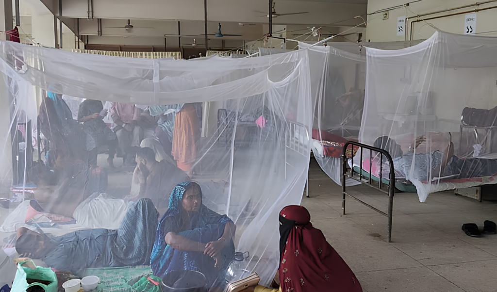 Dengue Cases Surge at Mymensingh Hospital as City Marks High Risk Zones Dengue Cases Surge at Mymensingh Hospital as City Marks High-Risk Zones