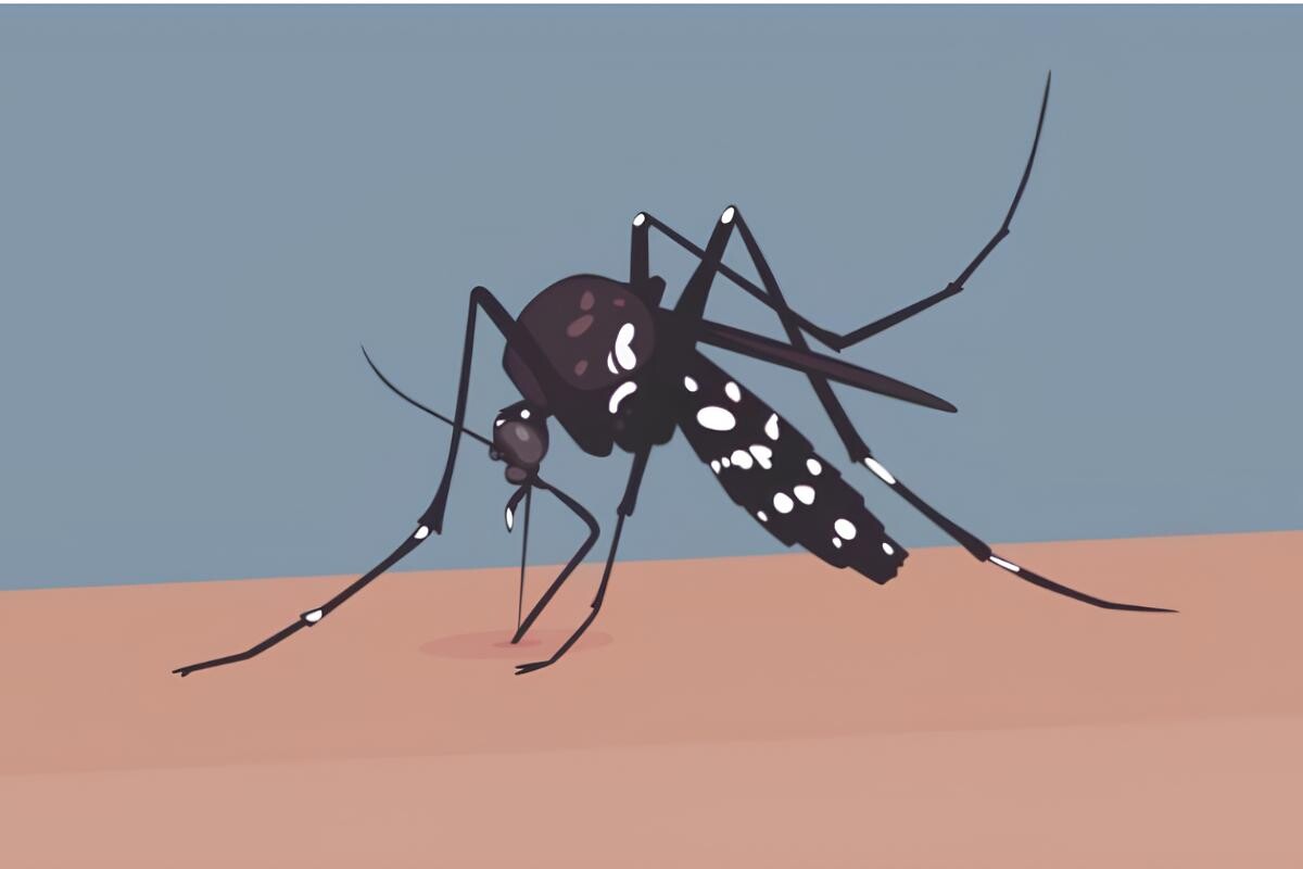 Dengue Claims Three More Lives as 458 Are Hospitalised