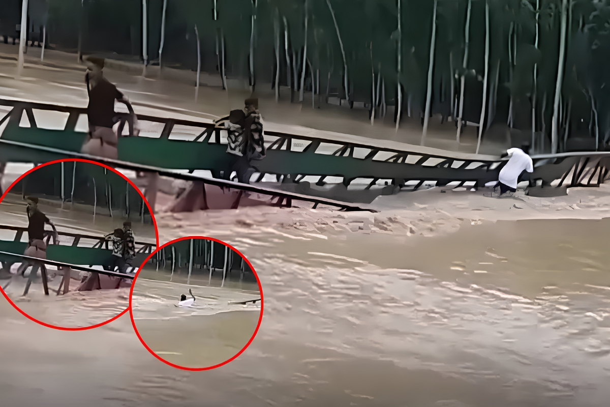 Flash Floods Destroy Sherpur Bridge as Four Passengers Wash Away