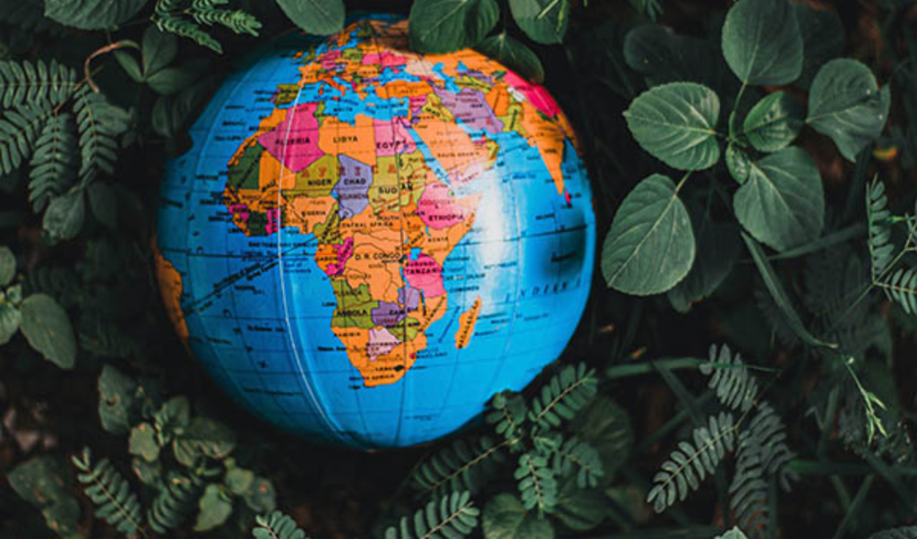 India Leads Top Global Insurance Markets with Projected 7.1 Real Growth India Leads Top Global Insurance Markets with Projected 7.1% Real Growth